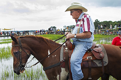 Chincoteague Wild Ponies : Personal Photo Projects : Photos : Richard Moore : Photographer